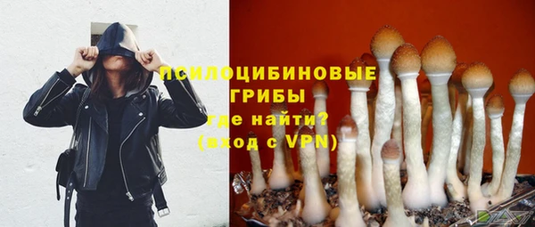 дживик Гусев