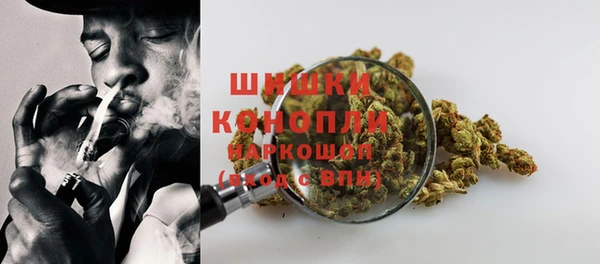 дживик Гусев