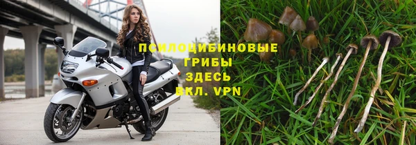 дживик Гусев