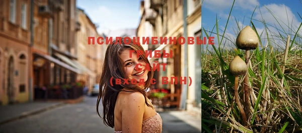 бутират Гусиноозёрск